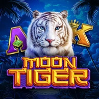 Moon Tiger