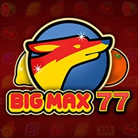 Big Max 77