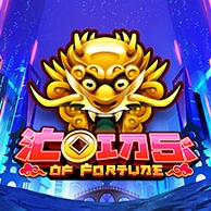 Coins Of Fortune