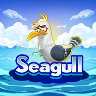 Seagull