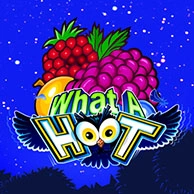 What a Hoot