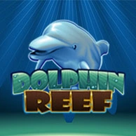 Dolphin Reef