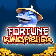 Fortune Kingfisher