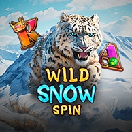 Wild Snow Spin