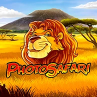 Photo Safari