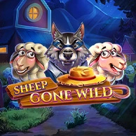 Sheep Gone Wild