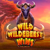 Wild Wildebeest Wins