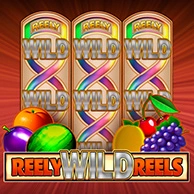 Reely Wild Reels