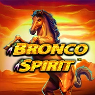 Bronco Spirit