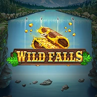 Wild Falls