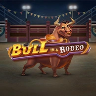 Bull in a Rodeo