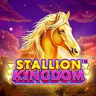 Stallion Kingdom
