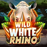 Wild White Rhino