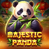Majestic Panda