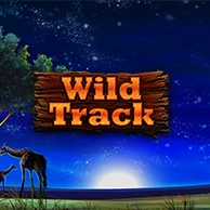Full Moon: Wild Track