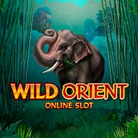 Wild Orient