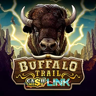 Buffalo Trail – Cash Mesh LINK