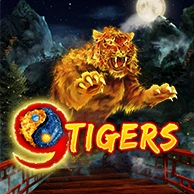 9 Tigers