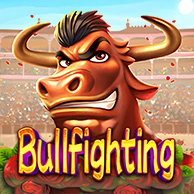 Bullfighting