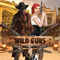 Wild Guns