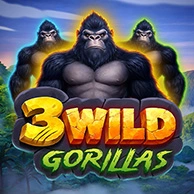 3 Wild Gorillas