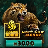 Mighty Wild Jaguar Burning Board