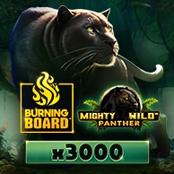 Mighty Wild Panther Burning Board
