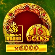 16 Coins Gold Burning Board