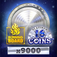 16 Coins Platinum Burning Board