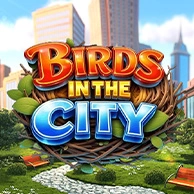 Birds In The City