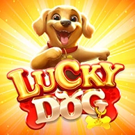 Lucky Dog 