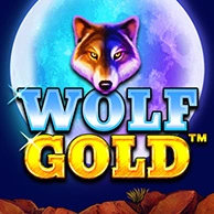 Wolf Gold 
