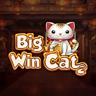 Big Win Cat