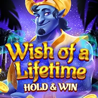 Wish Of A Lifetime Hold And Win