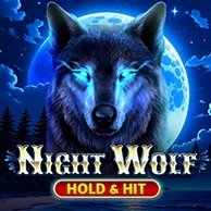 Night Wolf - Hold And Hit