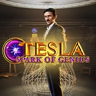 Tesla Spark of Genius