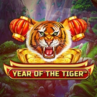 Year of The Tiger