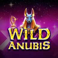 Wild Anubis