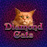 Diamond Cats