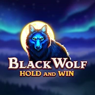 Black Wolf