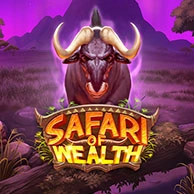 Safari of Wealth