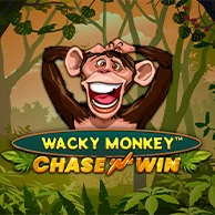 Wacky Monkey - Chase'N'Win