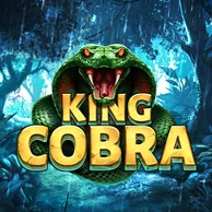 King Cobra