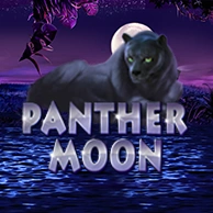 Panther Moon