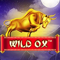 Wild Ox