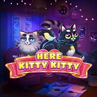 Here Kitty Kitty