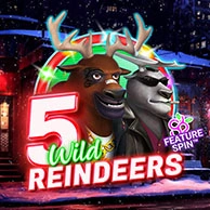 5 Wild Reindeers