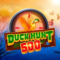 Duck Hunt 500