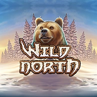 Wild North