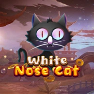 White Nose Cat